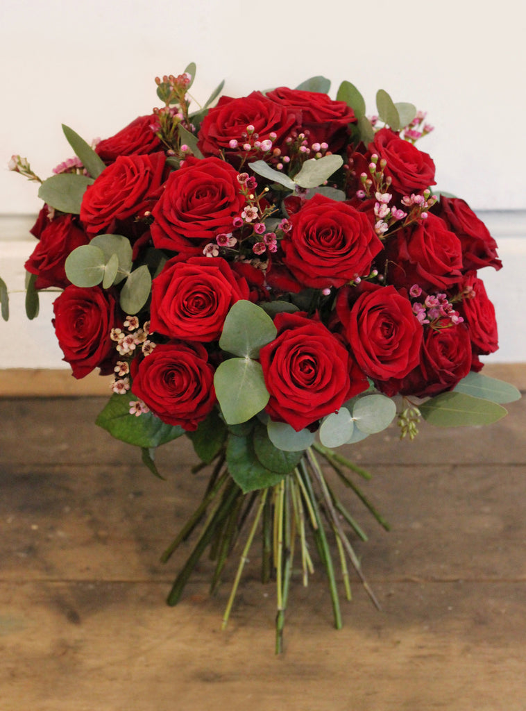 Classic Red Roses